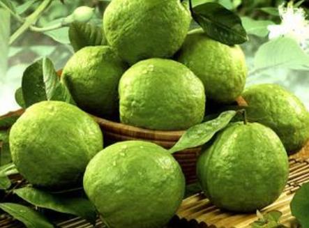 �a(ch��n)�D�ܳԷ�ʯ������a(ch��n)�D�Է�ʯ�������