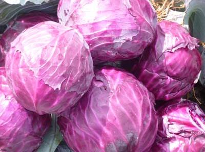 �����ڳ��ϸ��{��ʲô��̎�������ڳ��ϸ��{������