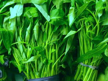 �a�D�Կ��Ĳ���ʲô��̎���a�D�Կ��Ĳ˵�����