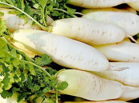 �a�D�ܳ԰��}���᣿�a�D�԰��}��������