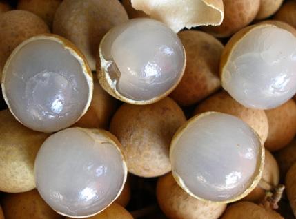 產婦能吃桂圓嗎?產婦吃桂圓的做法