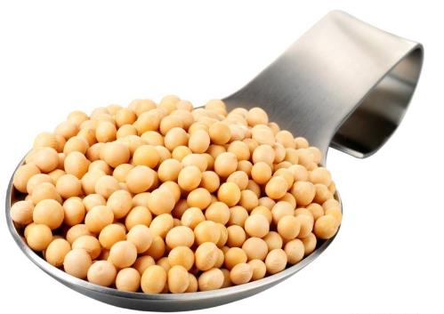 �������ܳ��S���������ڳ��S��������