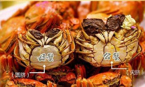 坐月子能吃螃蟹嗎?坐月子可以吃螃蟹嗎