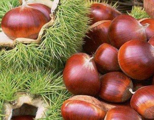 坐月子吃板栗好嗎?產(chǎn)婦可以吃板栗嗎