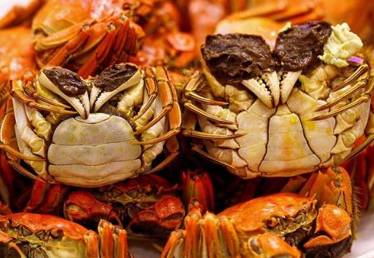 坐月子吃大閘蟹有影響嗎?哺乳期可以吃多少大閘蟹?