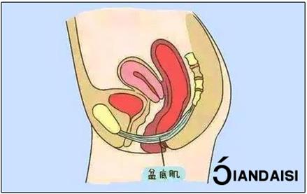 產(chǎn)后縮陰怎么做?8個建議