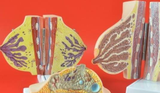 產后護理要認真對待 個人護理方面有三點是需要非常注意