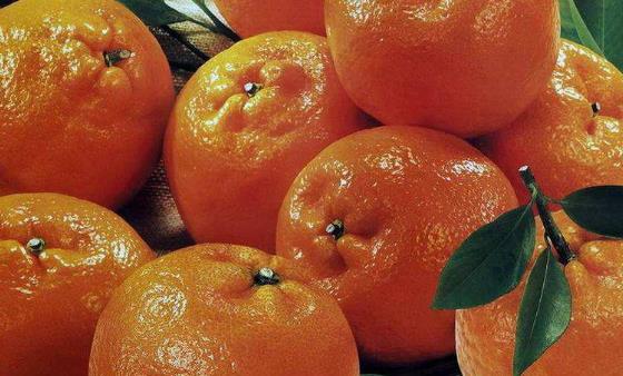 產(chǎn)后脫發(fā)的現(xiàn)象其實(shí)是正常的 5個(gè)日常護(hù)理頭發(fā)方法收好