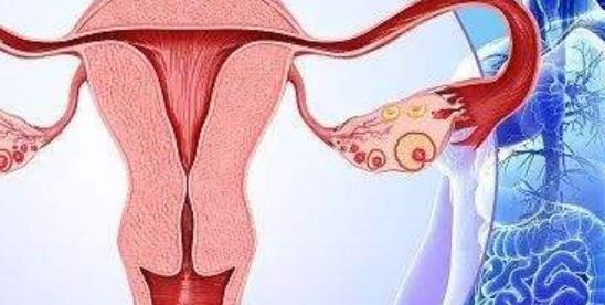 產后要好好保養卵巢 保養卵巢注意8個要點