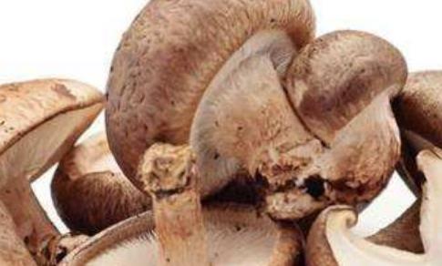 產后睡眠不好很難受 五方面著手改善睡眠