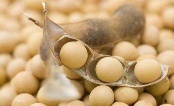 產后塑造完美身材 三種情況不能瘦身