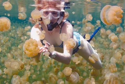 被水母蜇傷怎么辦?被水母蜇傷怎么及時自救