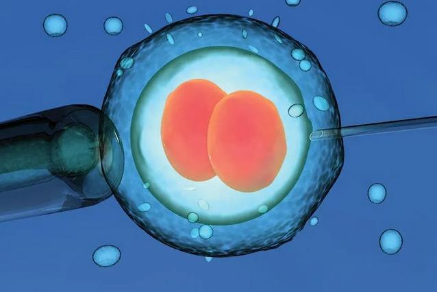 為什么你的卵子不成熟?優貝貝生殖中心專家揭密原因