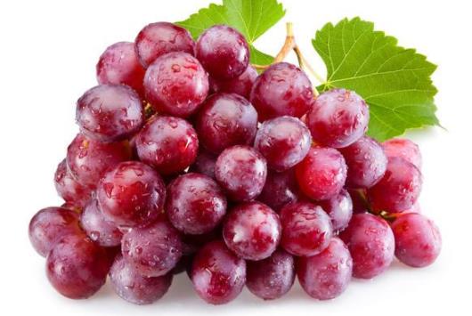 西瓜是酸性還是堿性 酸奶是酸性食物嗎