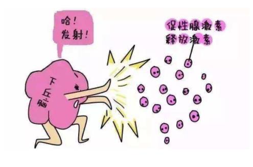 女性吃什么藥和食物能促使排卵呢 女性讓自己快速懷孕的妙招