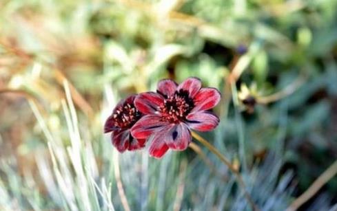 女人低情商怎么辦?女人情商低表現在哪些方面