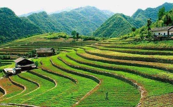 一畝地等于多少平方米?農村一畝地有多長多寬(土地單位換算技巧)