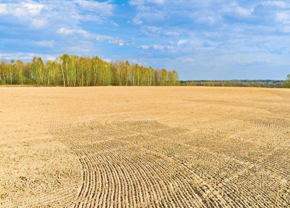 一公頃等于多少畝地?畝、公畝、頃、公頃之間是怎么換算的?