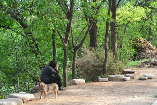 2020年五保戶政策:什么樣的人是五保戶?五保戶住院費用怎么報銷?