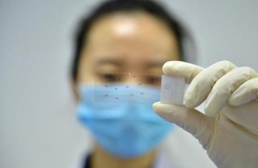 一個手機能查幾個核酸檢測結果?核酸檢測預約取消了還可以做嗎