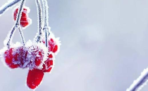 節氣三候是什么意思?春分三候是什么?