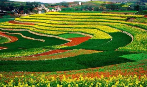 怎么申請(qǐng)耕地地力保護(hù)補(bǔ)貼?耕地地力保護(hù)補(bǔ)貼的政策是什么?