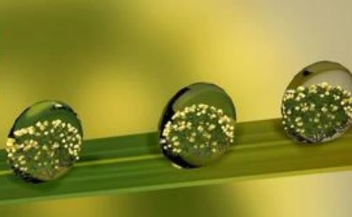 谷雨節氣代表什么?谷雨節氣含義是什么?