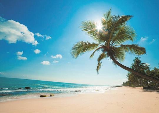 行程卡是根據什么定位的?疫情防控行程卡有什么用?