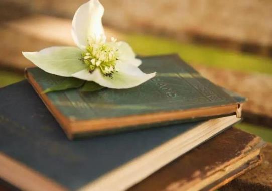 助學貸款有逾期不知情怎么辦?助學貸款可以在網上續貸嗎