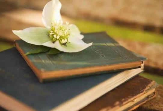 生源地貸款會不會查個人征信?生源地貸款年限填多少合適?