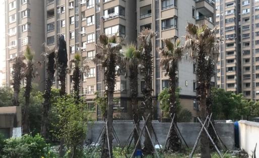 解困房是合法的嗎 解困房是經(jīng)濟(jì)適用房嗎