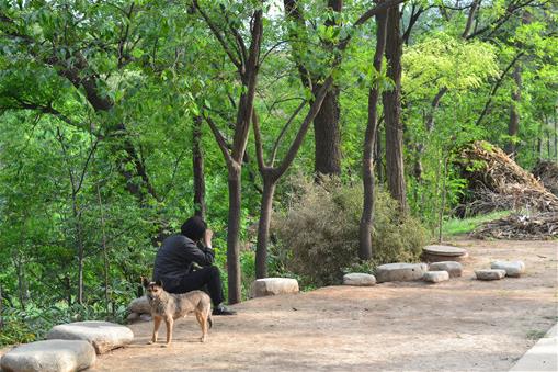 2020���r��60�q�������I�����X���B(y��ng)�Ͻ����{600Ԫ����Ć᣿