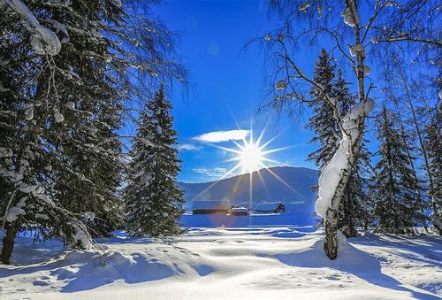 層次高、融合廣、形式新,第十四屆新疆冬博會將于27日開幕