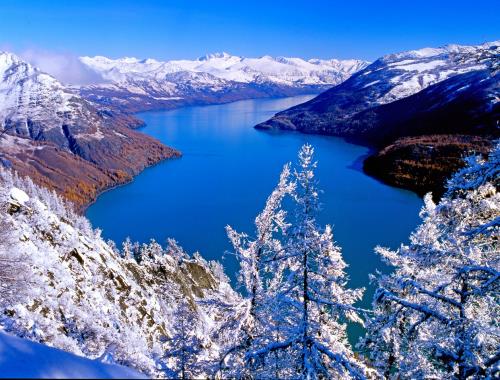 層次高、融合廣、形式新,第十四屆新疆冬博會將于27日開幕