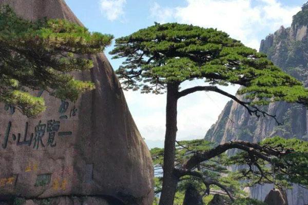 安徽2021春節旅游景區優惠政策一覽 安徽就地過年補貼 安徽2021春節旅游景區優惠政策一覽