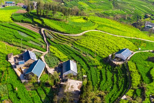 十種人不能參選村干部-攝圖網