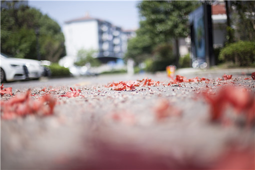 2021年春節可以燃放煙花爆竹嗎-攝圖網