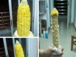 ?繼黃瓜香蕉茄子之后~玉米也有內(nèi)涵了，你懂的