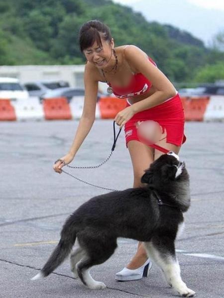 а���Ⱥ��D~����ȹ��Ů����ʧɫ��������֪���Y�����