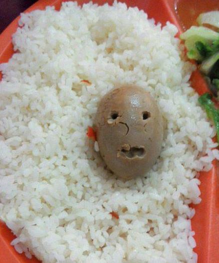 雞蛋孵化小雞:圖解我的前半生