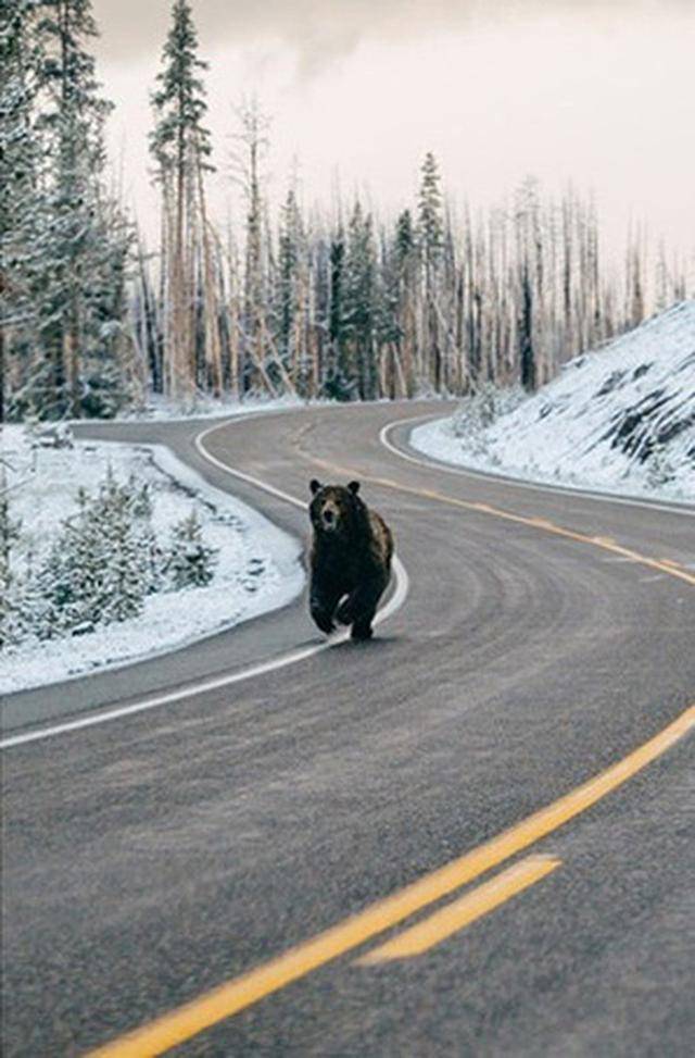 �_��ȫ�������������Ƭ �����^�ď���