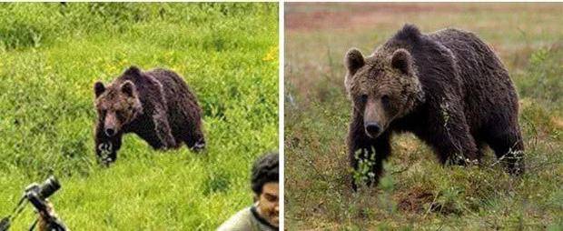 �_��ȫ�������������Ƭ �����^�ď���