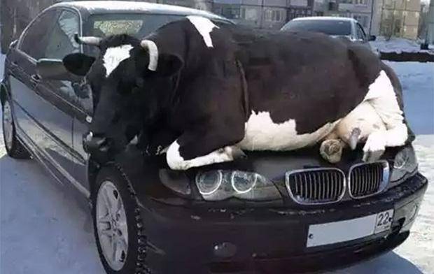 �_��ȫ�������������Ƭ �����^�ď���