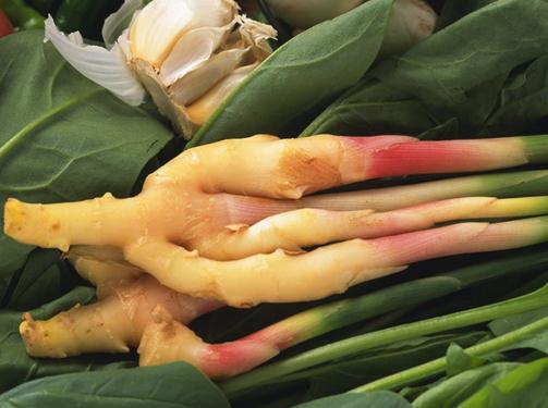 生姜擦頭皮的功效與作用:生姜擦頭皮可以讓頭發再生嗎