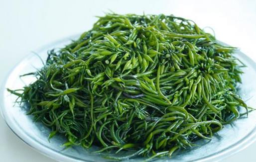 如何護理頭發 燙發的危害 簡單四步驟養護秀發