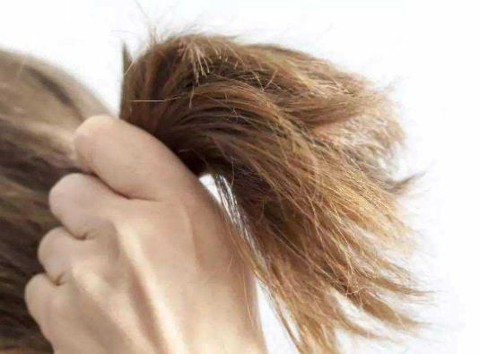 2022過年染什么顏色的頭發好?頭發沒有及時吹干為什么會油油的