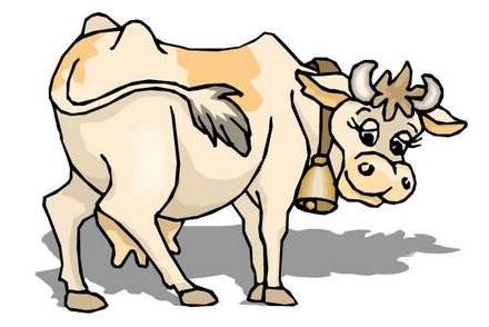 屬牛的貴人屬相,與屬牛人不合的屬相,牛與其他生肖的關系