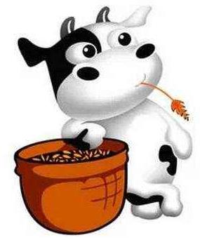 屬牛的貴人屬相,與屬牛人不合的屬相,牛與其他生肖的關系