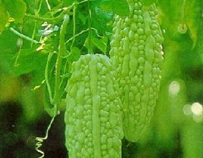 ���֭�ί����ӵ�ƫ��