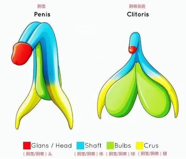 讓Arcwave愛可維給你一個感受女人的機會